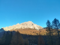 IMG_20171014_175207.jpg