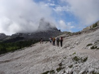 DSC08241.jpg