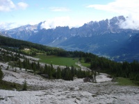 DSC08245.jpg